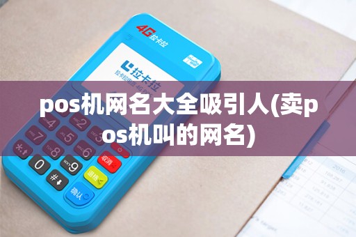 pos机网名大全吸引人(卖pos机叫的网名)