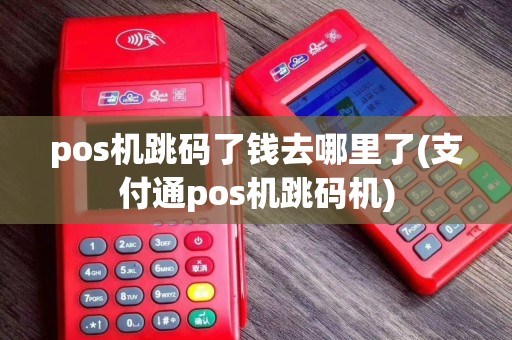 pos机跳码了钱去哪里了(支付通pos机跳码机)