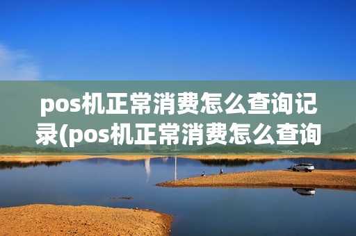 pos机正常消费怎么查询记录(pos机正常消费怎么查询)