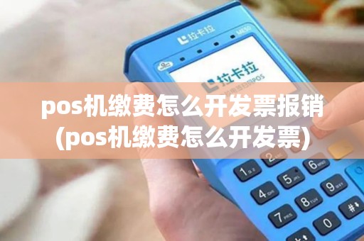 pos机缴费怎么开发票报销(pos机缴费怎么开发票)