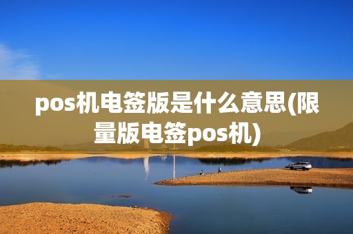 pos机电签版是什么意思(限量版电签pos机)