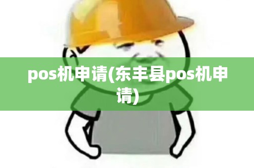 pos机申请(东丰县pos机申请)