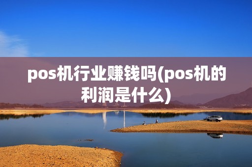 pos机行业赚钱吗(pos机的利润是什么)