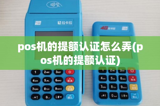 pos机的提额认证怎么弄(pos机的提额认证)