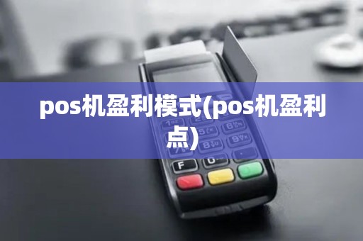 pos机盈利模式(pos机盈利点)
