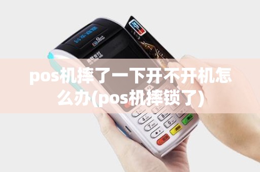 pos机摔了一下开不开机怎么办(pos机摔锁了)