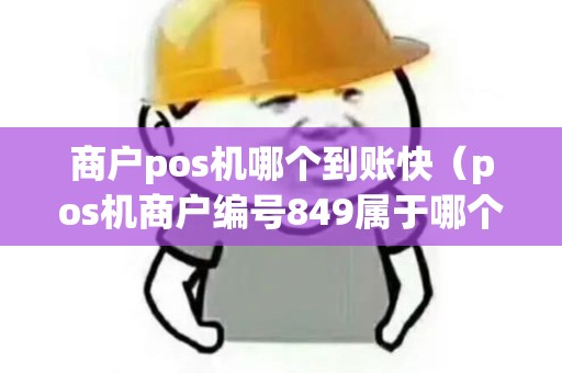 商户pos机哪个到账快（pos机商户编号849属于哪个公司）