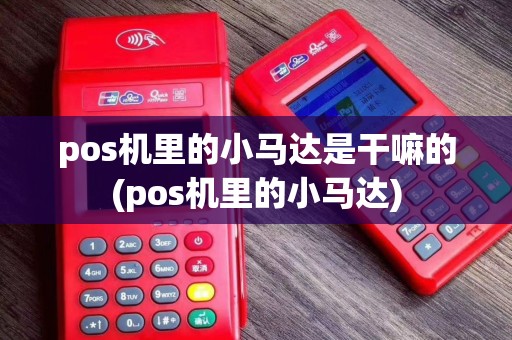 pos机里的小马达是干嘛的(pos机里的小马达)