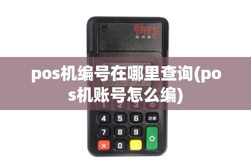 pos机编号在哪里查询(pos机账号怎么编)