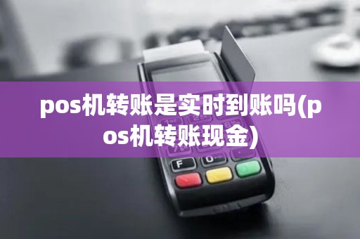 pos机转账是实时到账吗(pos机转账现金)