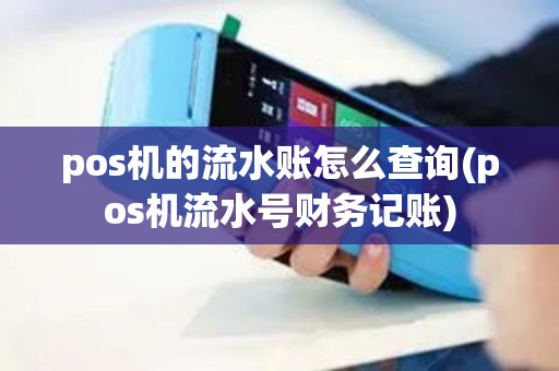 pos机的流水账怎么查询(pos机流水号财务记账)