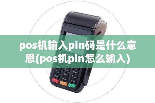 pos机输入pin码是什么意思(pos机pin怎么输入)