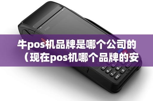 牛pos机品牌是哪个公司的（现在pos机哪个品牌的安全）