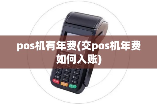 pos机有年费(交pos机年费如何入账)