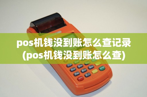 pos机钱没到账怎么查记录(pos机钱没到账怎么查)
