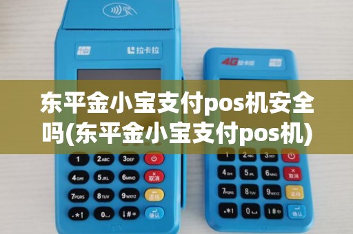 东平金小宝支付pos机安全吗(东平金小宝支付pos机)