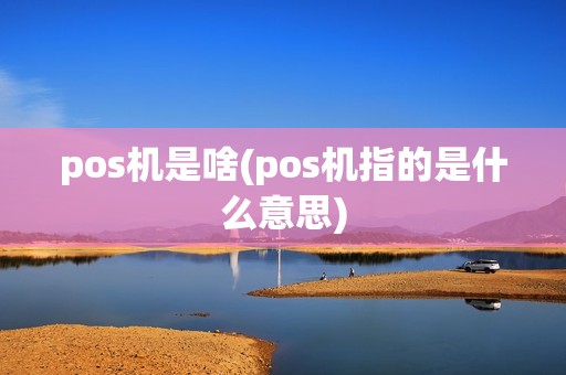 pos机是啥(pos机指的是什么意思)