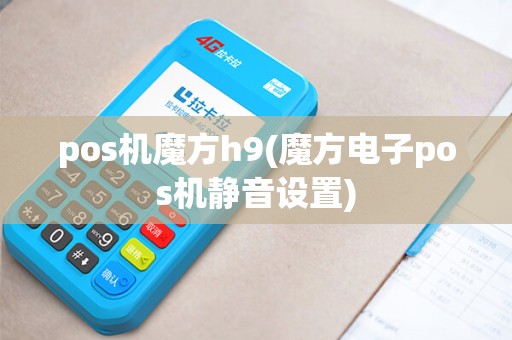 pos机魔方h9(魔方电子pos机静音设置)