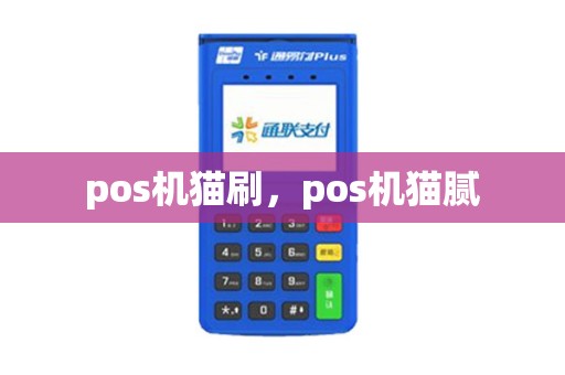 pos机猫刷，pos机猫腻