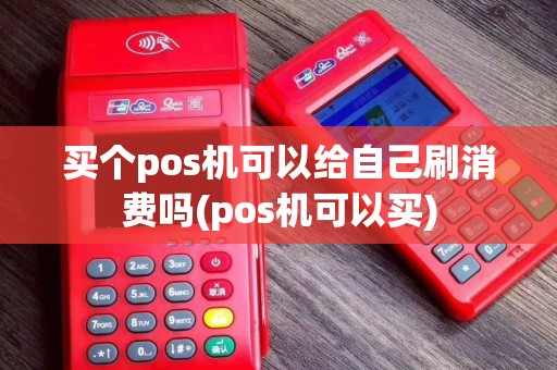 买个pos机可以给自己刷消费吗(pos机可以买)