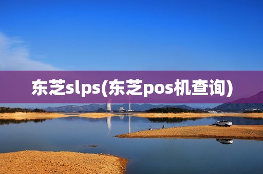 东芝slps(东芝pos机查询)