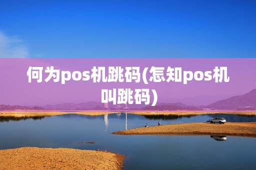 何为pos机跳码(怎知pos机叫跳码)