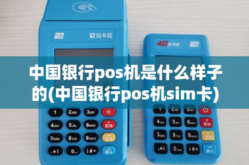 中国银行pos机是什么样子的(中国银行pos机sim卡)