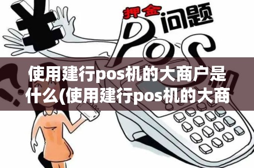 使用建行pos机的大商户是什么(使用建行pos机的大商户)