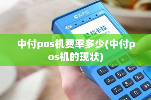 中付pos机费率多少(中付pos机的现状)