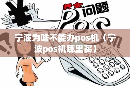 宁波为啥不能办pos机（宁波pos机哪里买）