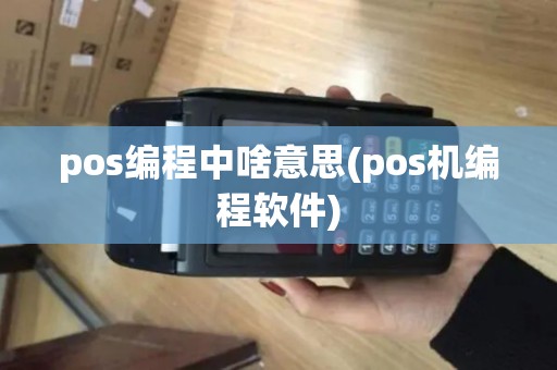 pos编程中啥意思(pos机编程软件)