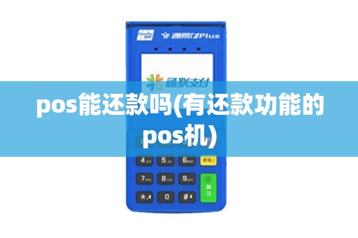 pos能还款吗(有还款功能的pos机)
