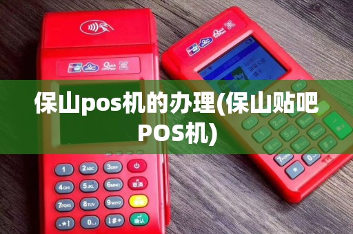 保山pos机的办理(保山贴吧POS机)