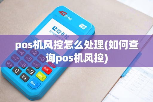 pos机风控怎么处理(如何查询pos机风控)