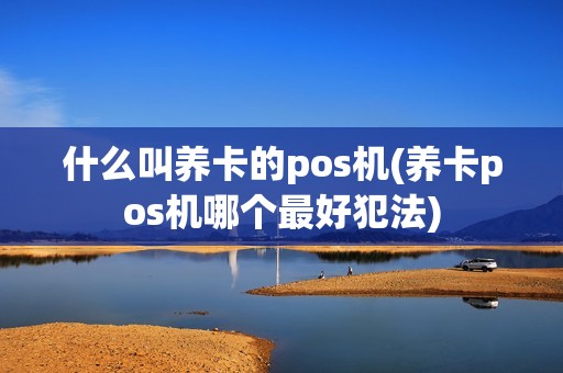 什么叫养卡的pos机(养卡pos机哪个最好犯法)