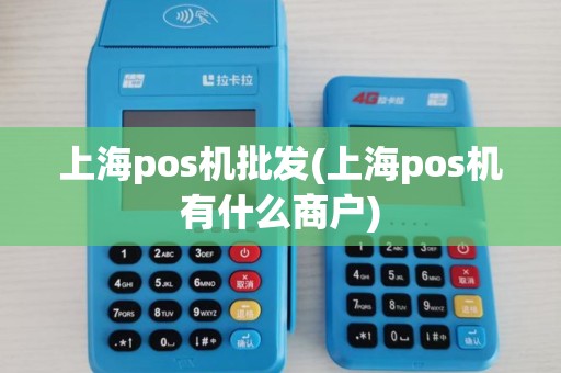 上海pos机批发(上海pos机有什么商户)