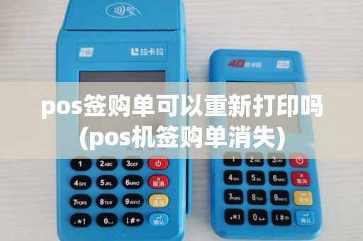 pos签购单可以重新打印吗(pos机签购单消失)