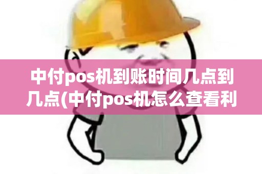 中付pos机到账时间几点到几点(中付pos机怎么查看利率)
