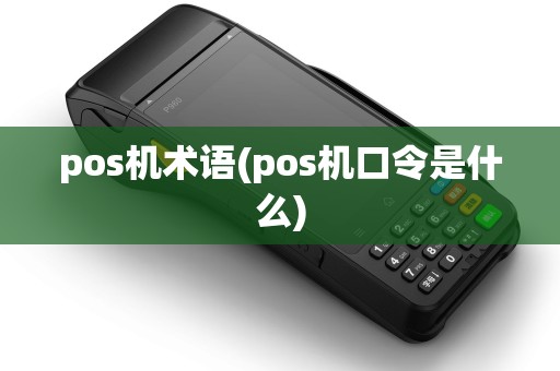 pos机术语(pos机口令是什么)