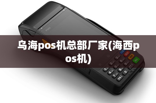 乌海pos机总部厂家(海西pos机)