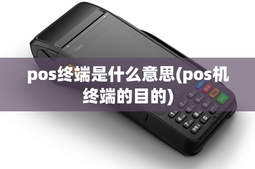 pos终端是什么意思(pos机终端的目的)