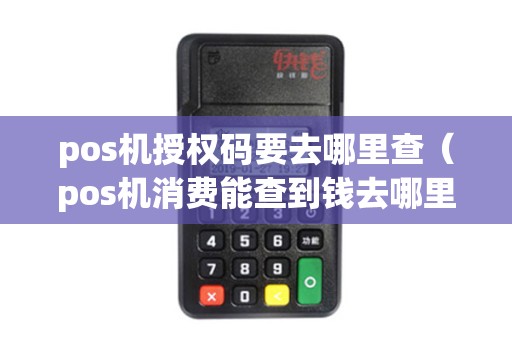 pos机授权码要去哪里查（pos机消费能查到钱去哪里了吗）