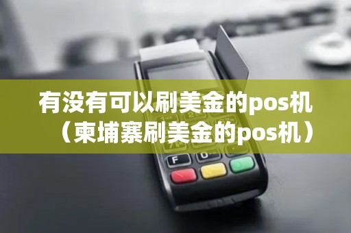 有没有可以刷美金的pos机（柬埔寨刷美金的pos机）
