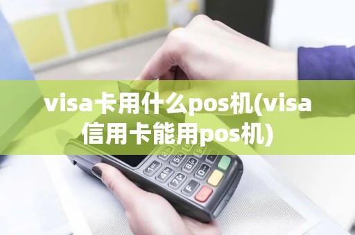 visa卡用什么pos机(visa信用卡能用pos机)