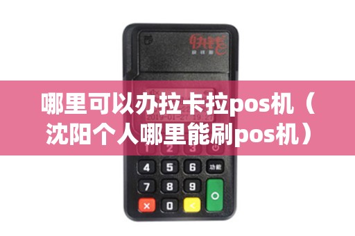 哪里可以办拉卡拉pos机（沈阳个人哪里能刷pos机）