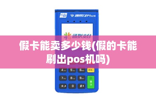 假卡能卖多少钱(假的卡能刷出pos机吗)