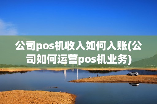 公司pos机收入如何入账(公司如何运营pos机业务)