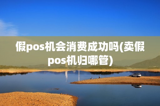 假pos机会消费成功吗(卖假pos机归哪管)