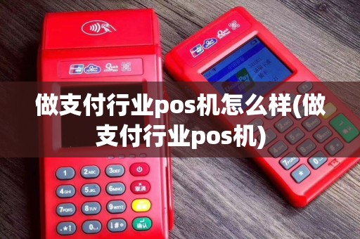 做支付行业pos机怎么样(做支付行业pos机)